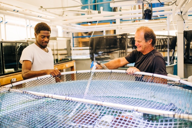 pagcor online casino app