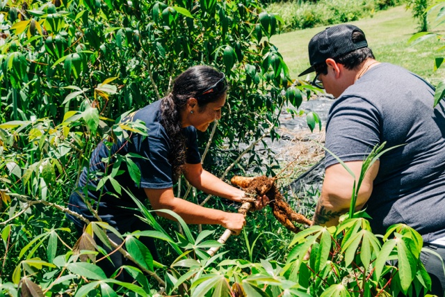 pagcor online casino gcash